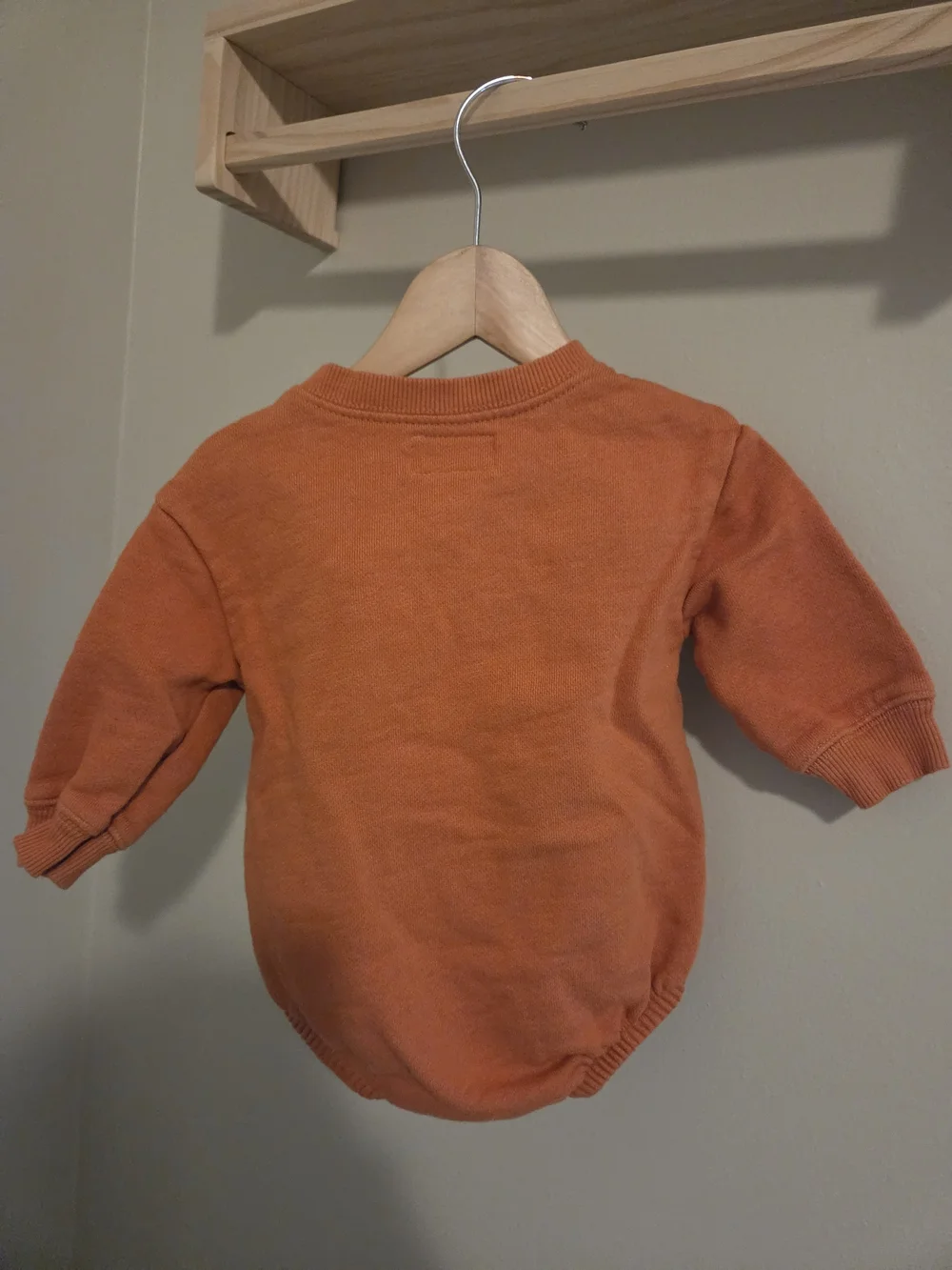 Baby 6M Organic Bodysuit 'Oh! Hi Pumpkin Pie' Long-Sleeve